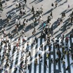 A complete guide to Japanese culture for business professionals
